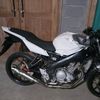 zalotoo