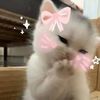 luvtxrii