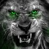 leonking216
