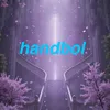 handbolofficial1