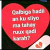 my.is.cabdi