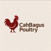 cahbaguspoultry