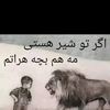user14600040360741