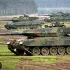 romarinhofjv1