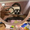 zoryanaa_4