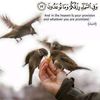 rasha8790
