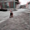 ab_dallah40