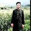 abdul.haq.safi