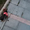 erika._.sola