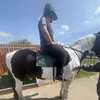 vibesxoxox1