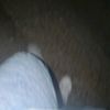 wagus.com11
