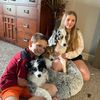 dog_house87
