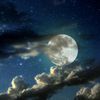 luna.roses5