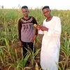 user33123239660950