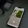 agenttarek28
