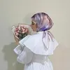 aa_mel137