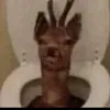 titonolasde4