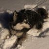 perrin.nordmark