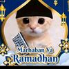 alifikri1276