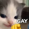 o0princip