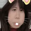 roo727929