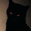 theunnamed007n7