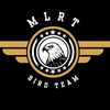 mlrtteam