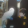 rielxvsp_