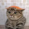 dieuchaynuoc