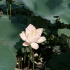 nguyen.ngoc.duyen_25.1