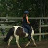 helena..equu