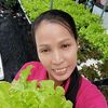 กรีนฟาร์มสุข