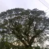 totsnotjuy