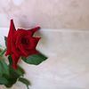 aysa1540