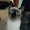 spiderzzk89