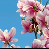 user2231078036198