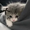 kiki_do_youluvvme