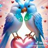 user3425761833108