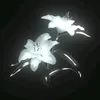 wintersgxrl