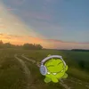 xzr_309
