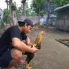 ragel.kc