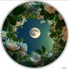 user1301318618187