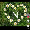 aqsin_elsen_252330