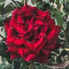 zainab.nour30