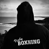 the_viking_of_boxing