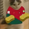 cool_sponge127