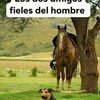 renan.abraham.bei