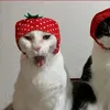 who_iskikii