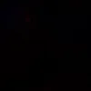 wakil_2130