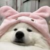 pinksparklesea
